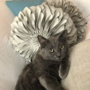 Meet your Posher, Megan